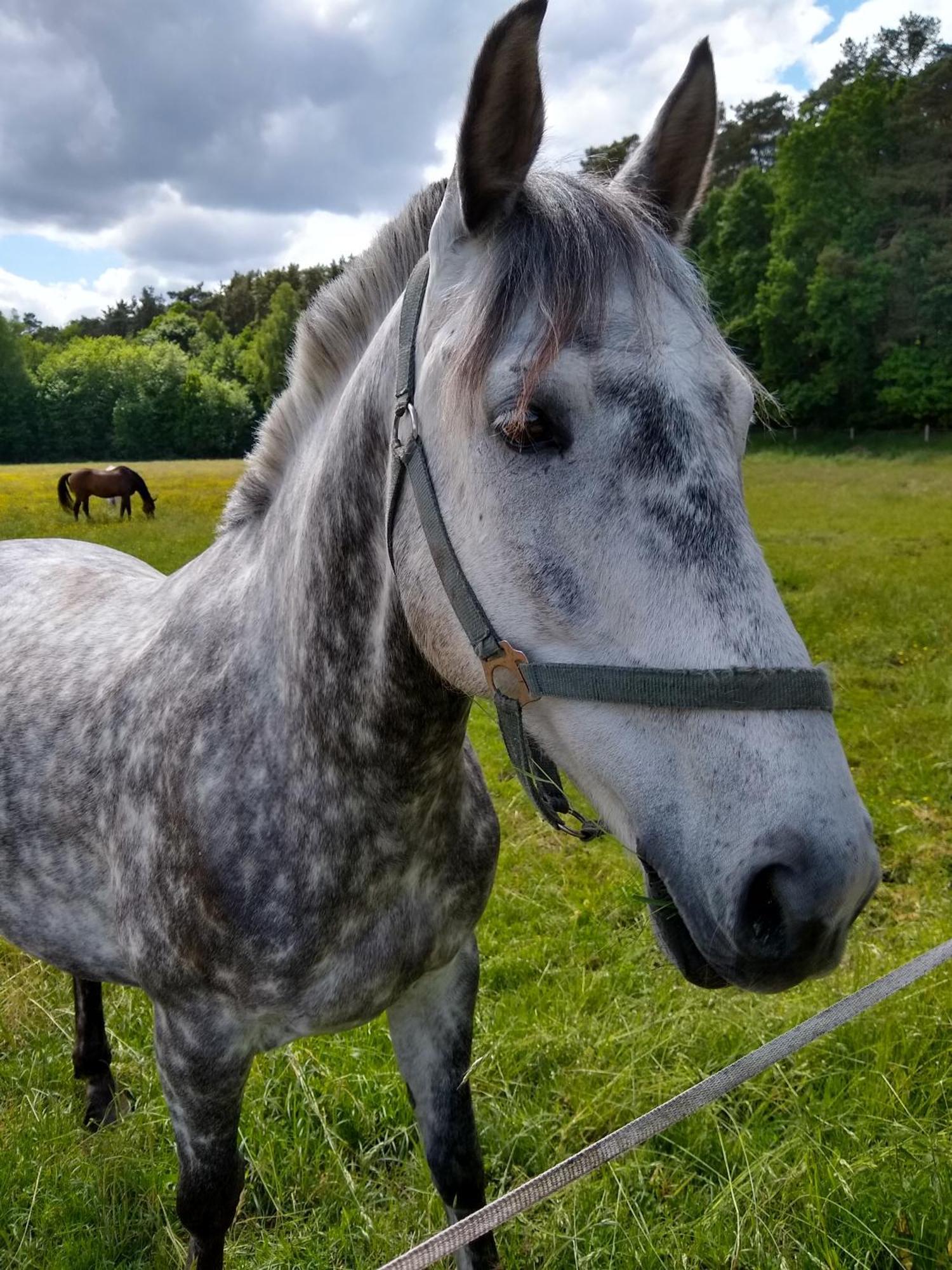 Zwei Seen Ferienhaus Canow Zewnętrze zdjęcie